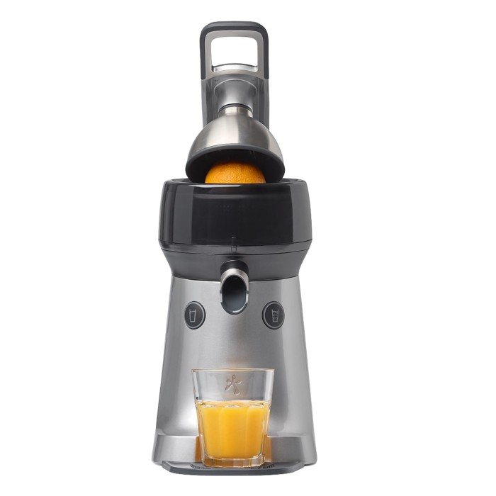 the juicer 2.jpg