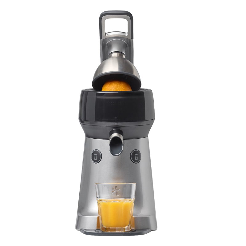 the juicer 2.jpg